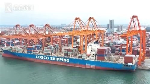 今年前8個月我國貨物貿(mào)易與技術(shù)進出口實現(xiàn)雙增長