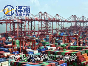 深圳進口清關(guān)全程管家服務與技術(shù)進出口指南